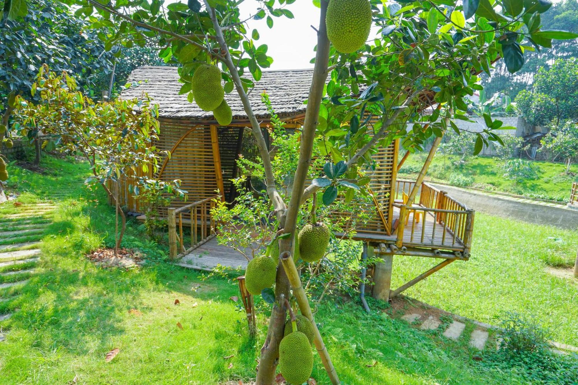 Little Bee House Hotel Trai Vang Luaran gambar